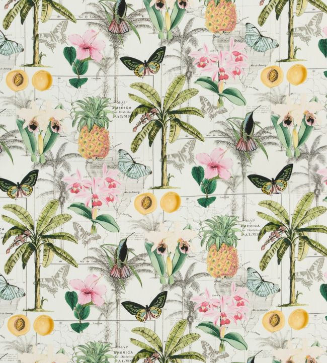 PP50434-1 - Orinoco Fabric - Tropical - Baker Lifestyle