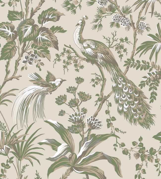 Peacock Toile Wallpaper - Green on Natural - AT57832 - Anna French