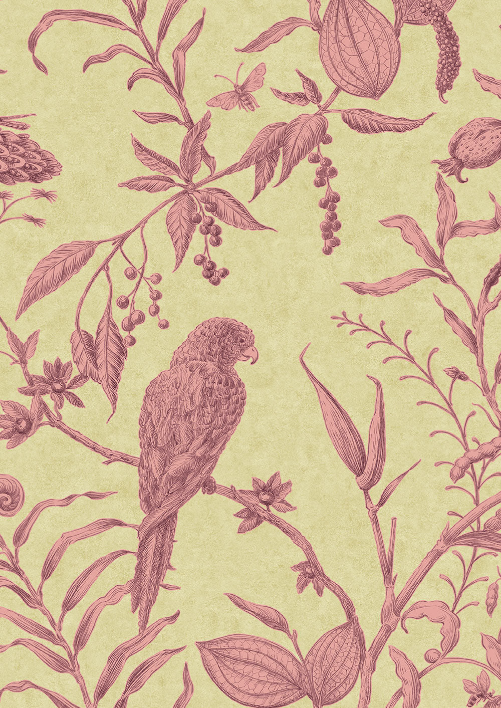 Squawk Wallpaper - Cantaloupe - Lewis & Wood