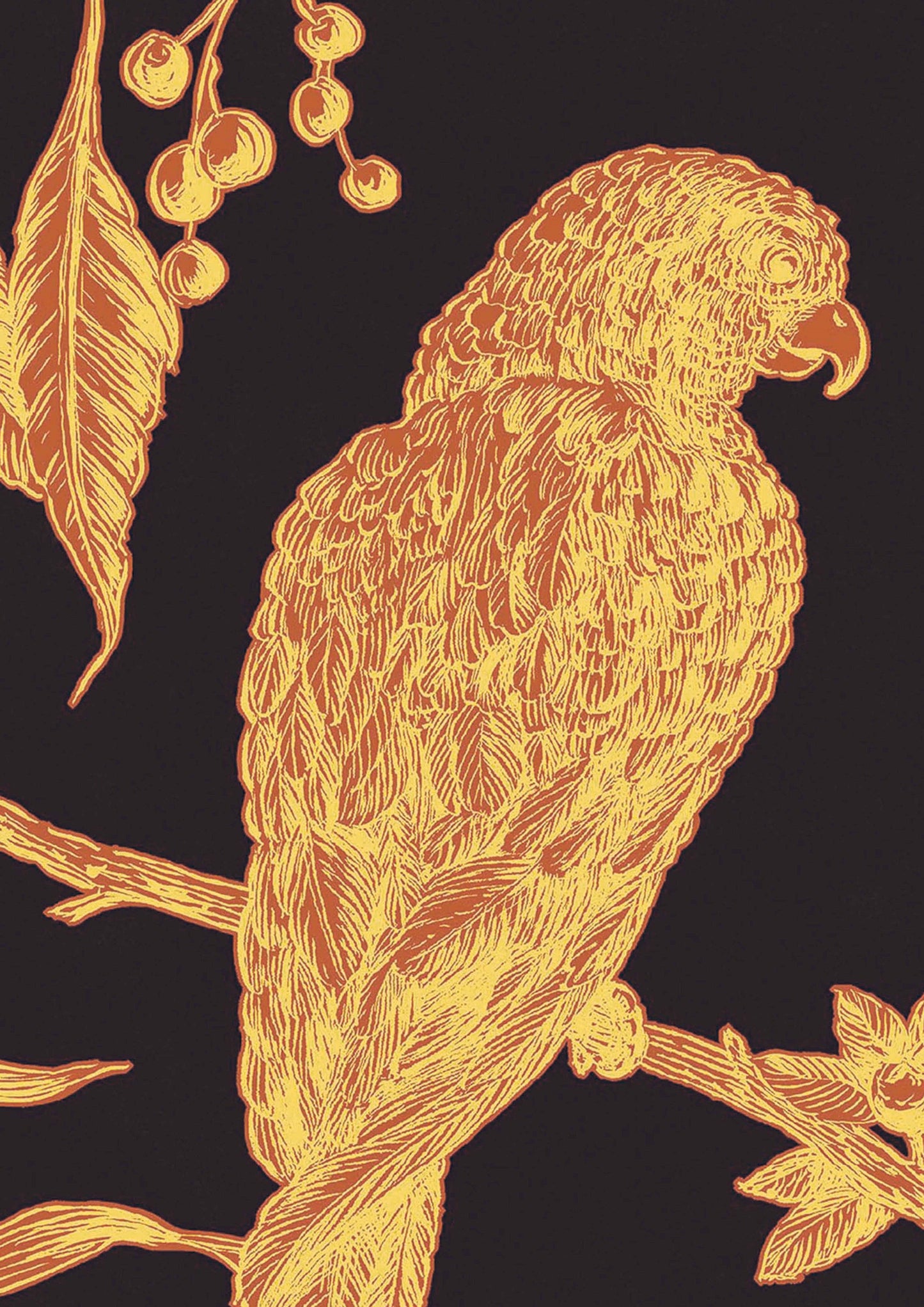 Squawk Wallpaper - Ink - Lewis & Wood