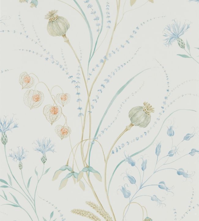 Summer Harvest Wallpaper - Cornflower/Wheat - DEBB216496 - Sanderson