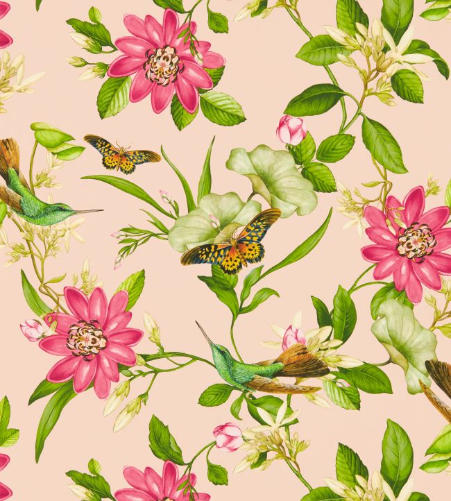 W0132/01 - Pink Lotus Wallpaper - Blush - Clarke & Clarke