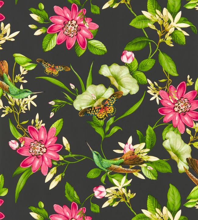 W0132/03 - Pink Lotus Wallpaper - Noir - Clarke & Clarke