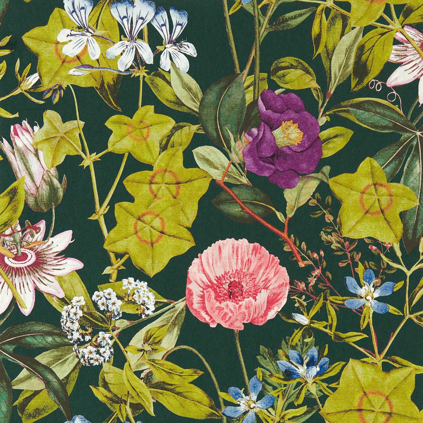 W0143/02 - Passiflora Wallpaper - Emerald - Clarke & Clarke