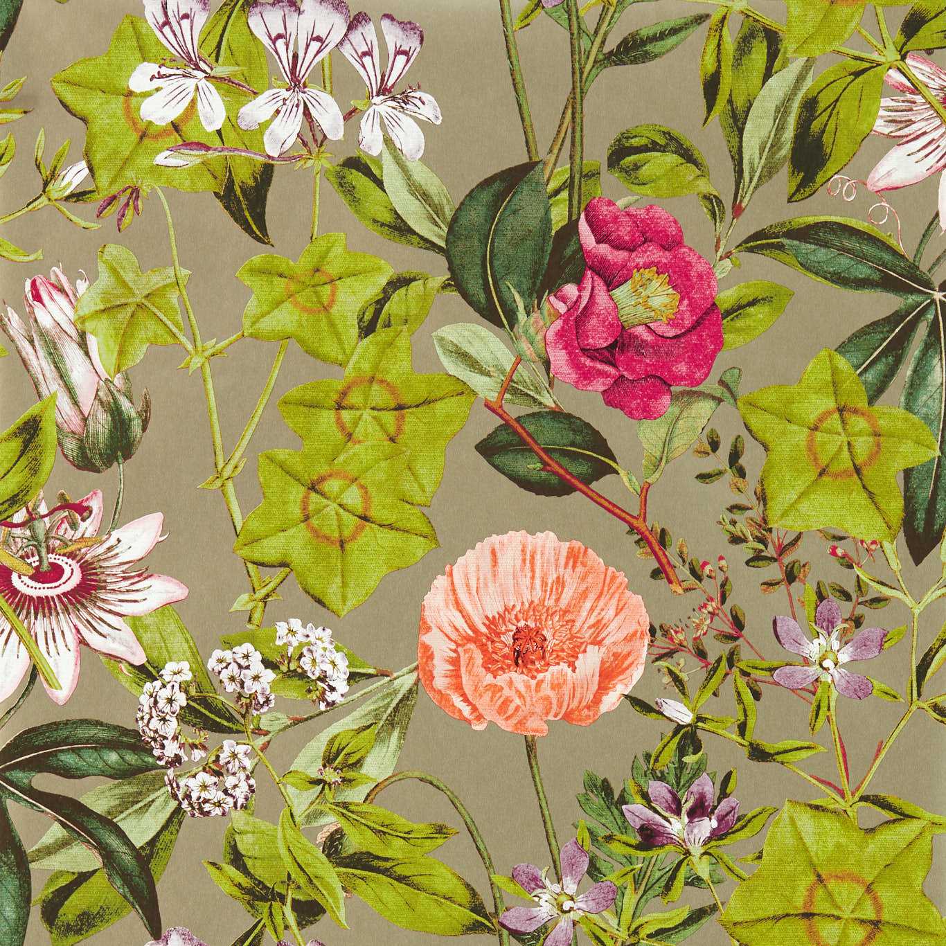 W0143/03 - Passiflora Wallpaper - Mulberry/Gilver - Clarke & Clarke