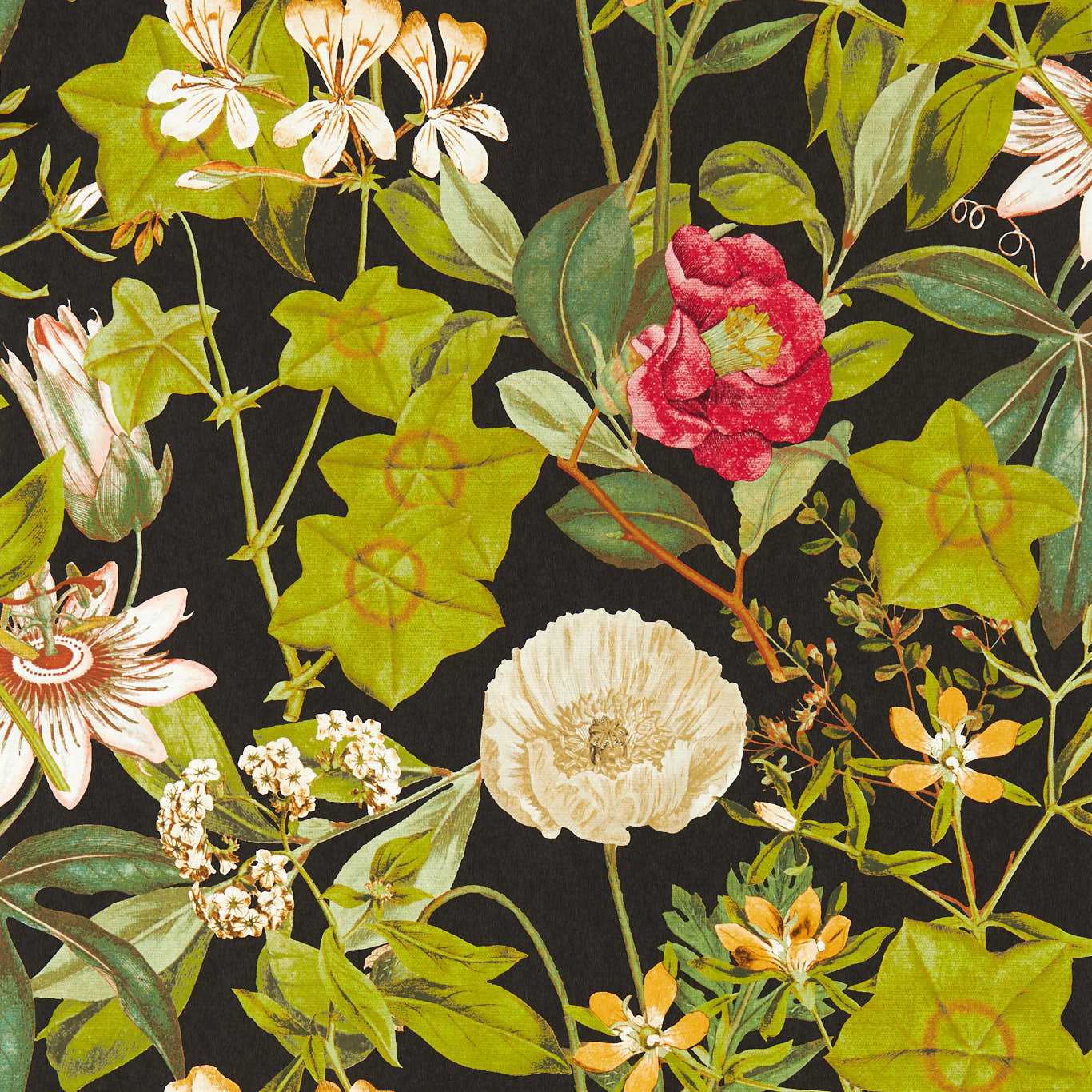 W0143/04 - Passiflora Wallpaper - Noir - Clarke & Clarke