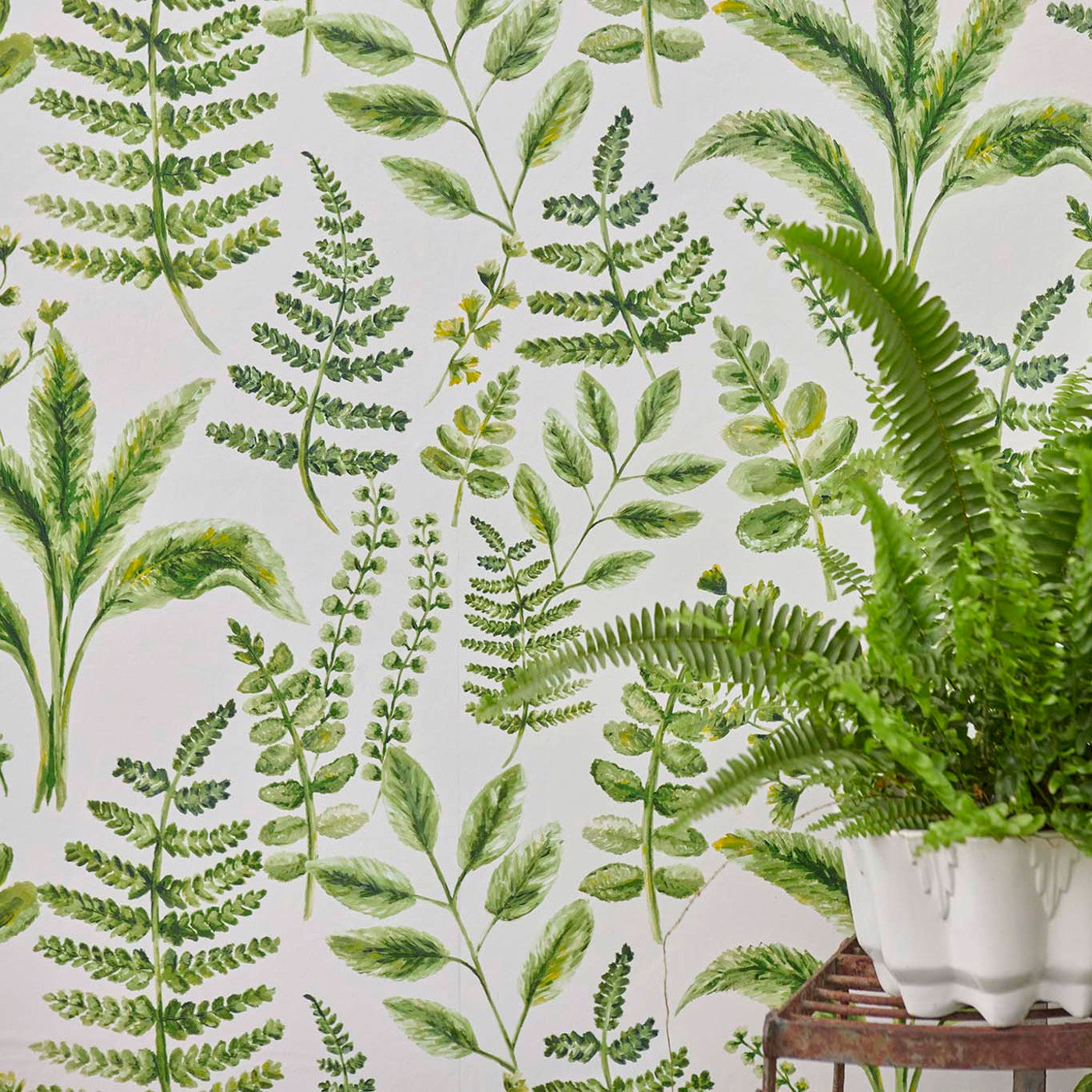 W0156/02 - Bracken Wallpaper - Forest - Clarke & Clarke