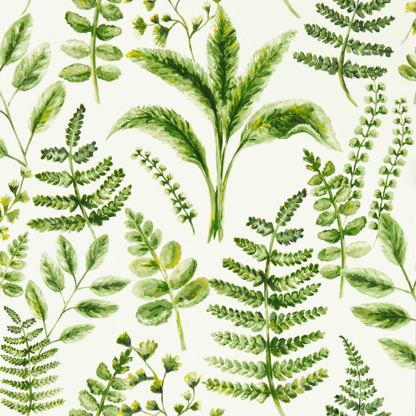 W0156/02 - Bracken Wallpaper - Forest - Clarke & Clarke
