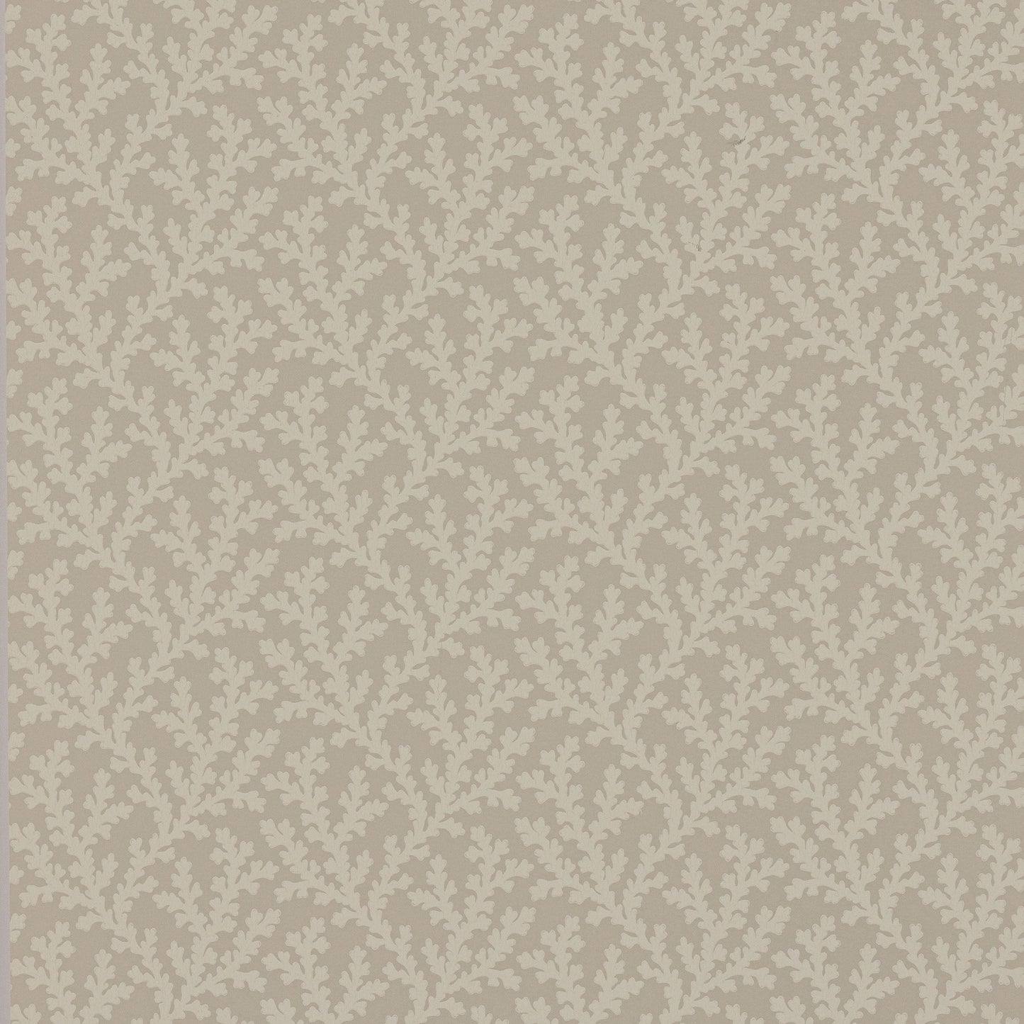 W7020-03 - Sea Coral Wallpaper - Beige - Colefax & Fowler