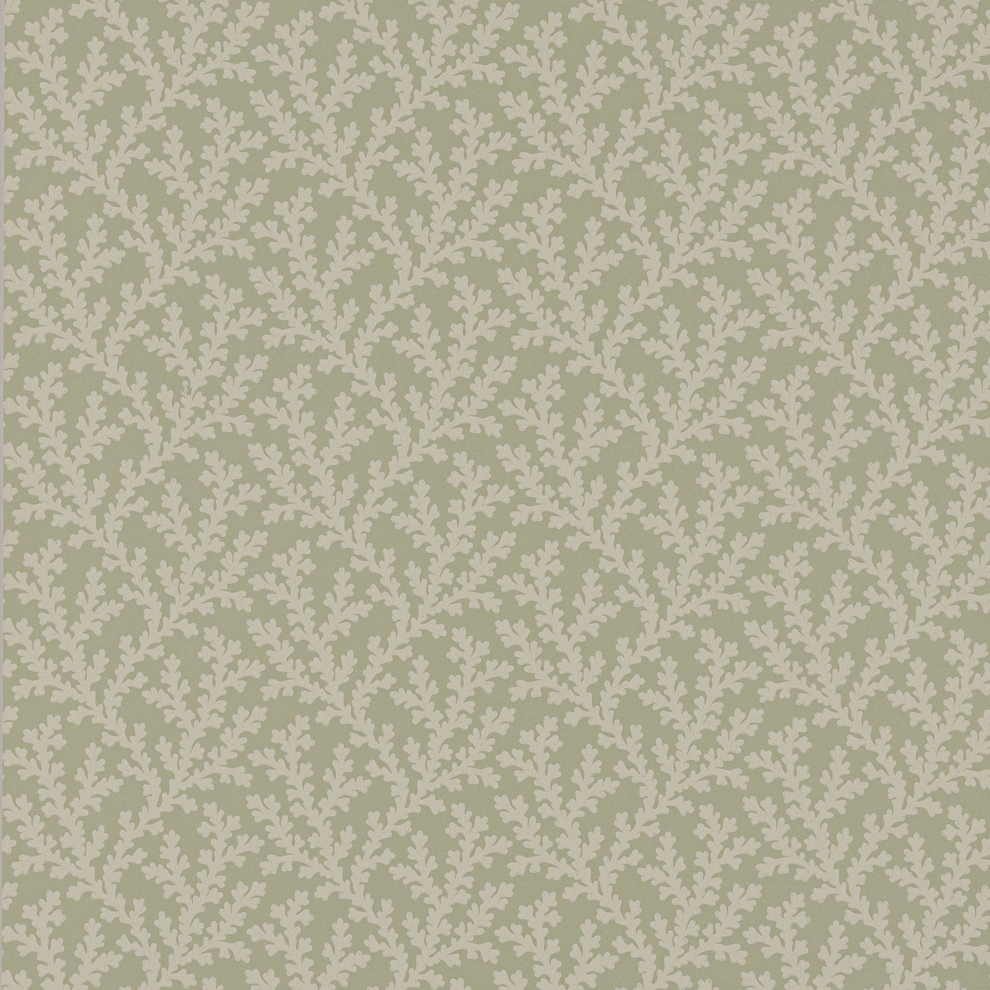 W7020-04 - Sea Coral Wallpaper - Willow - Colefax & Fowler