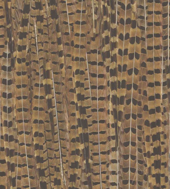 WM-080R - Pheasant Wallpaper - Brown - Woodchip & Magnolia