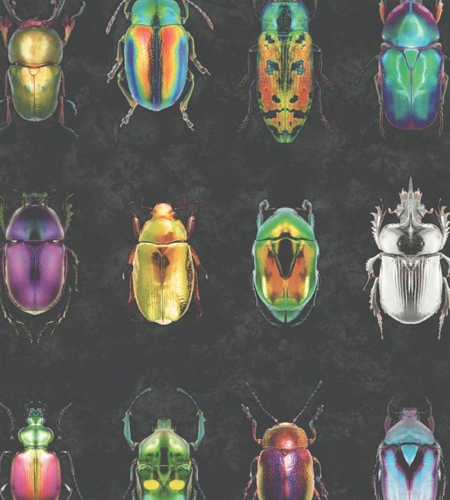 WM-092-01R - Beetle Jewels Wallpaper - Multi Black - Woodchip & Magnolia