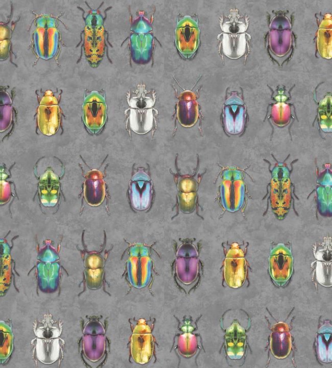 WM-092-02R - Beetle Jewels Wallpaper - Multi Charcoal - Woodchip & Magnolia