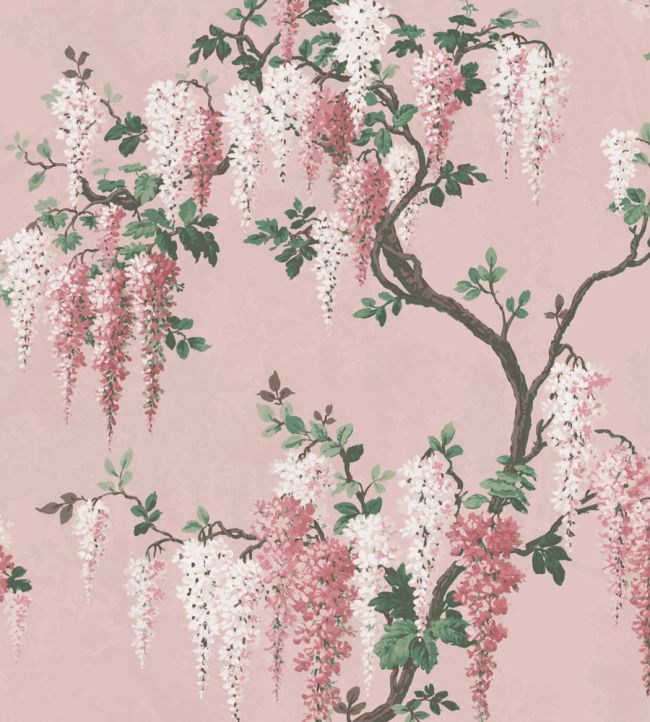 WM-218R - Wisteria Wallpaper - Pink Bloom - Woodchip & Magnolia