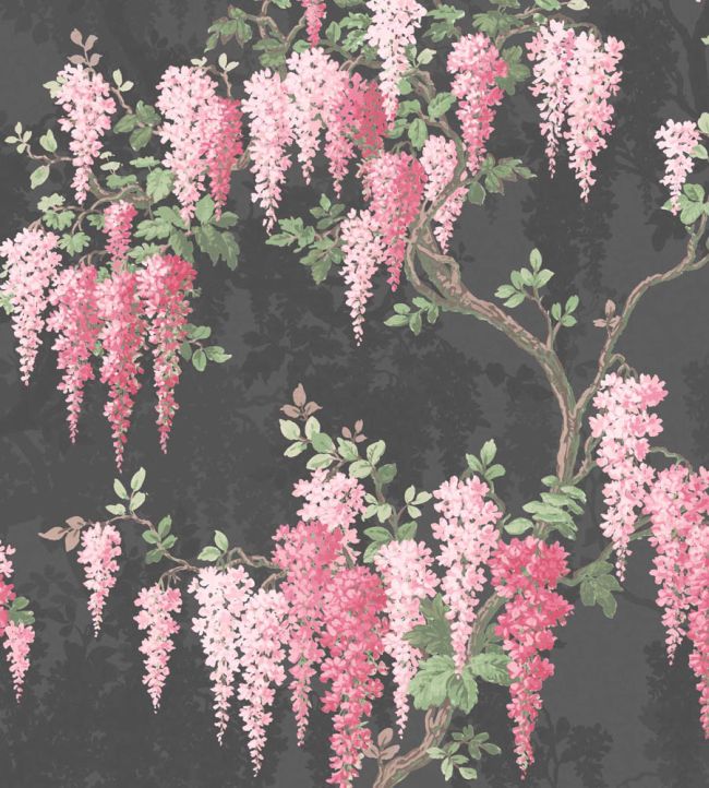 WM-224R - Wisteria Wallpaper - Noir Black - Woodchip & Magnolia