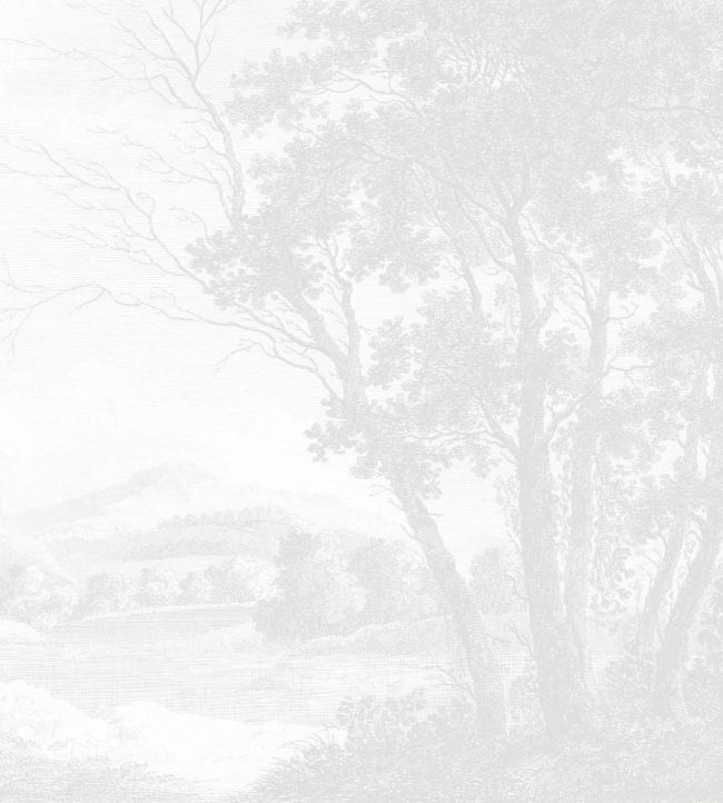 WM-307-01RM - Peaceful Countryside Wallpaper - Mural - Grey - Woodchip & Magnolia