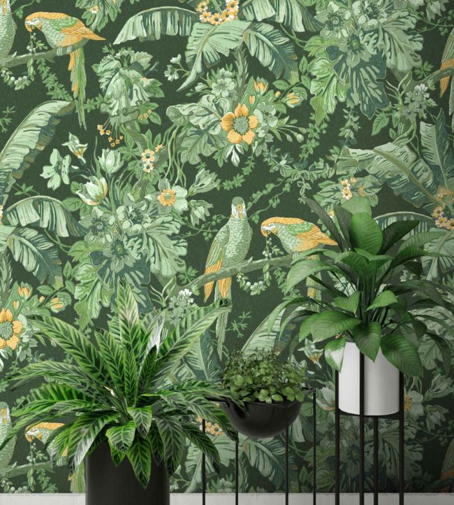 WM-322-02R - Parrot Talk Wallpaper - Lush Green - Woodchip & Magnolia