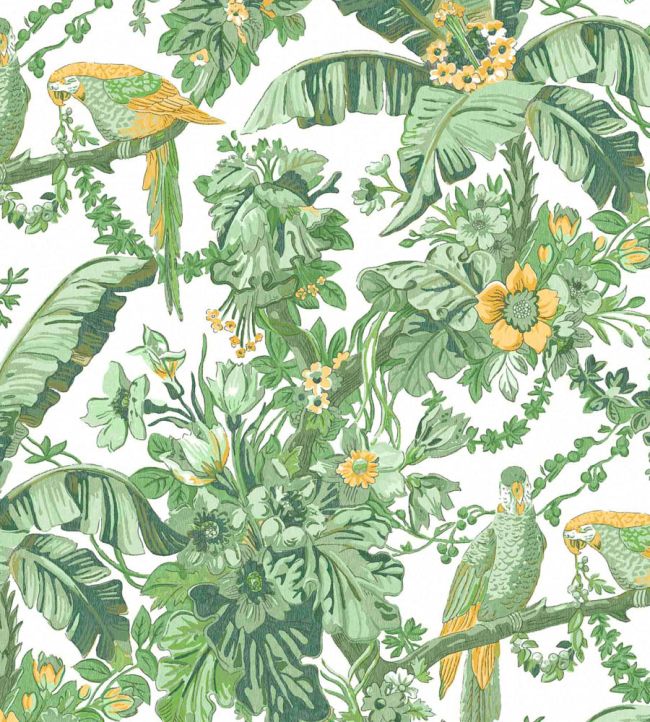 WM-322-05R - Parrot Talk Wallpaper - Lush Green White - Woodchip & Magnolia