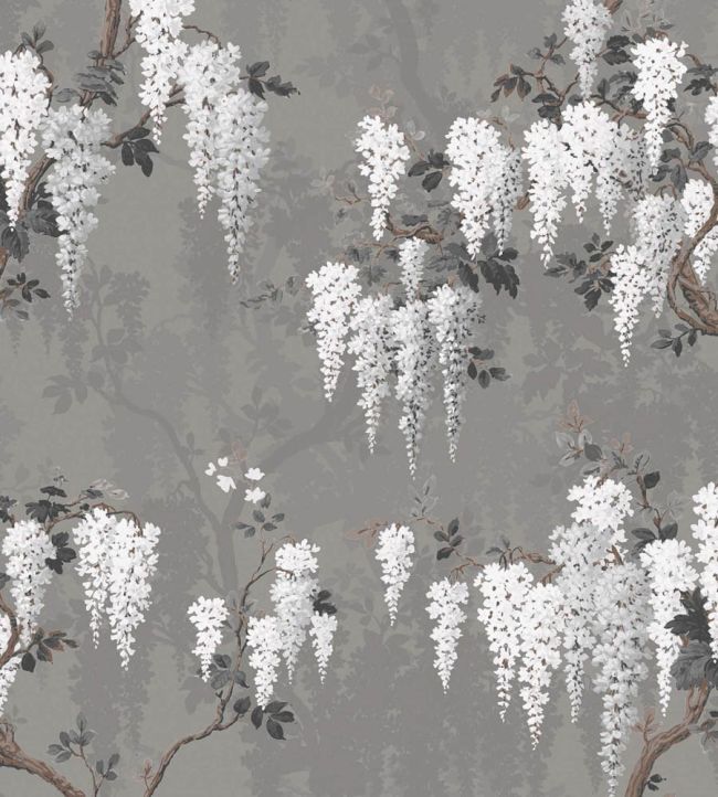 WM-333-03R - Wisteria Wallpaper - Latte Slate Grey - Woodchip & Magnolia