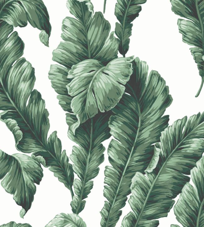 WM-365-04R - Lets Go Bananas Wallpaper - Green - Woodchip & Magnolia
