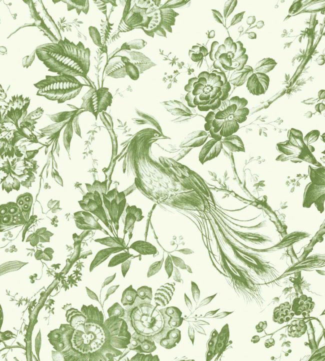 WM-368-05-3P - Plumage Wallpaper - Mural - Green - Woodchip & Magnolia