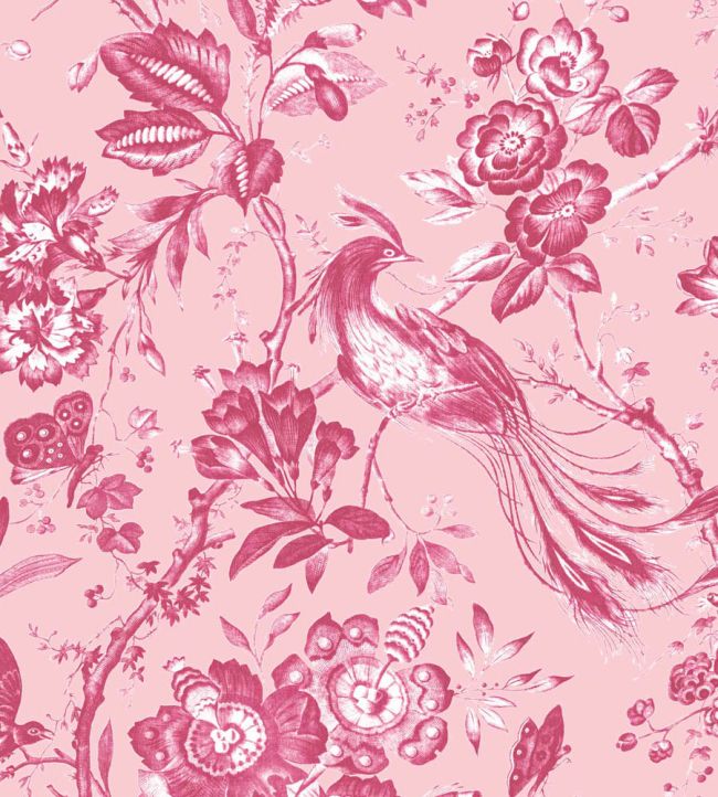 WM-368-07-3P - Plumage Wallpaper - Mural - Peony Pink - Woodchip & Magnolia