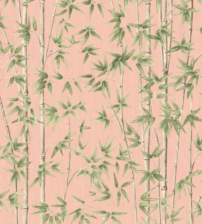 WM-397-03R - Bamboozle Wallpaper - Salmon - Woodchip & Magnolia