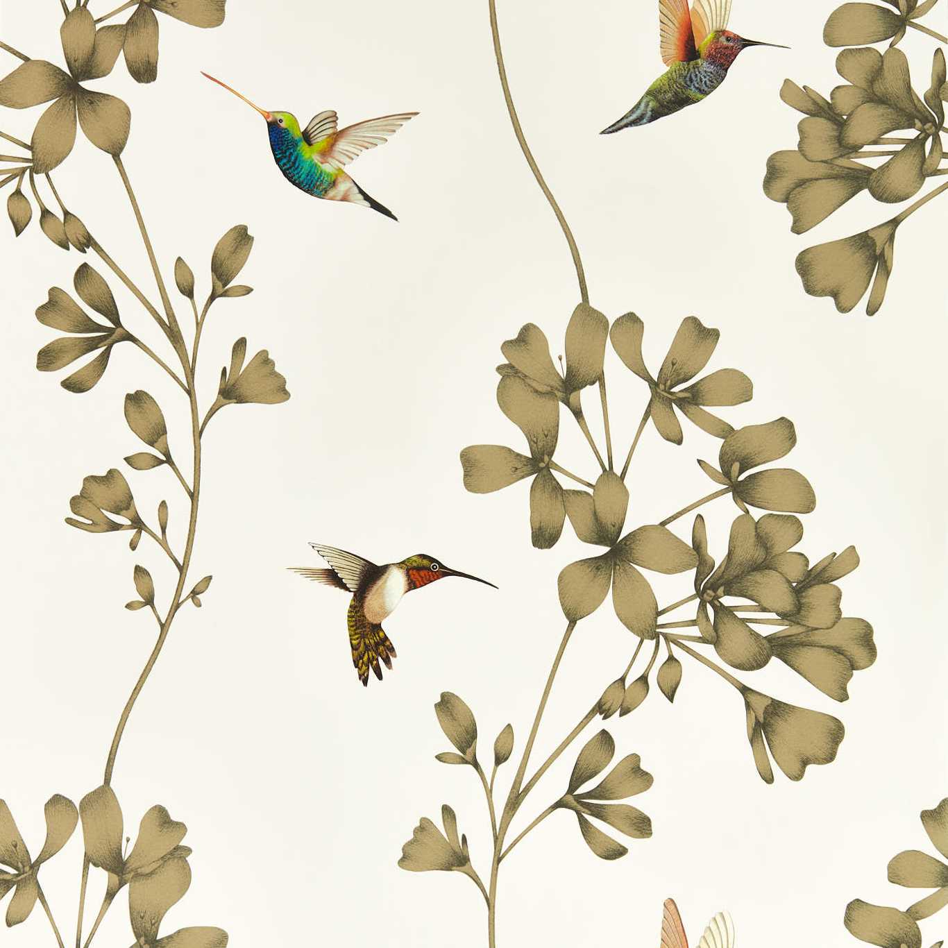 Amazilia Wallpaper - Stone/Gold - HTEW112607 - Harlequin - Premier Wallcovering