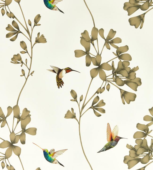 Amazilia Wallpaper - Stone/Gold - HTEW112607 - Harlequin - Premier Wallcovering