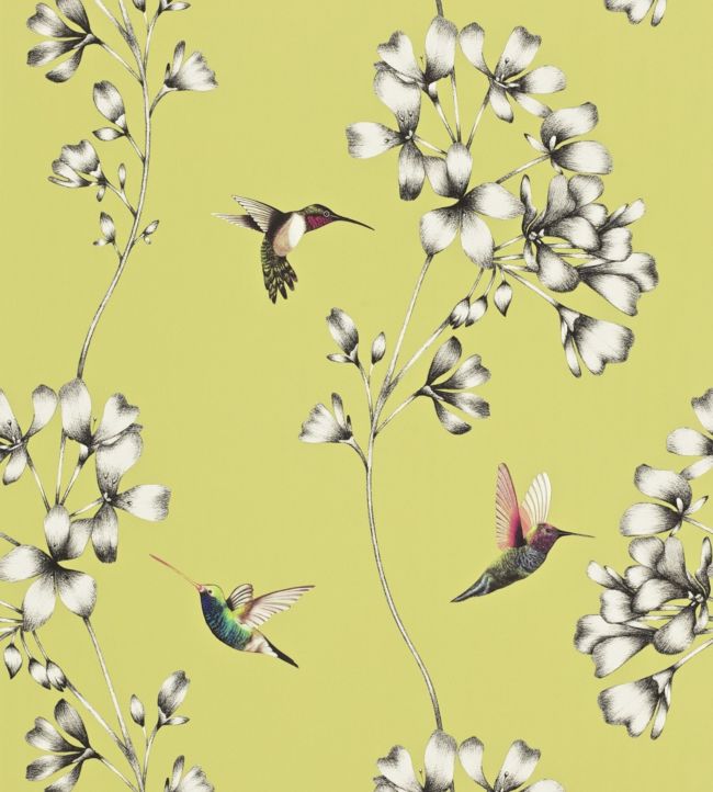 Amazilia Wallpaper - Gooseberry - HAMA111061 - Harlequin - Premier Wallcovering