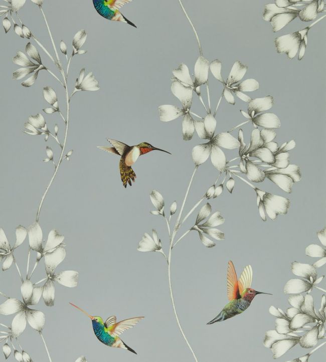 Amazilia Wallpaper - French Grey/Stone - HTEW112605 - Harlequin - Premier Wallcovering