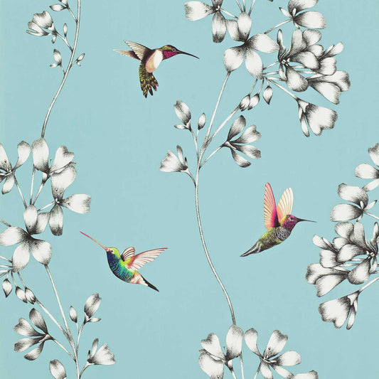 Amazilia Wallpaper - Sky - HAMA111060 - Harlequin - Premier Wallcovering