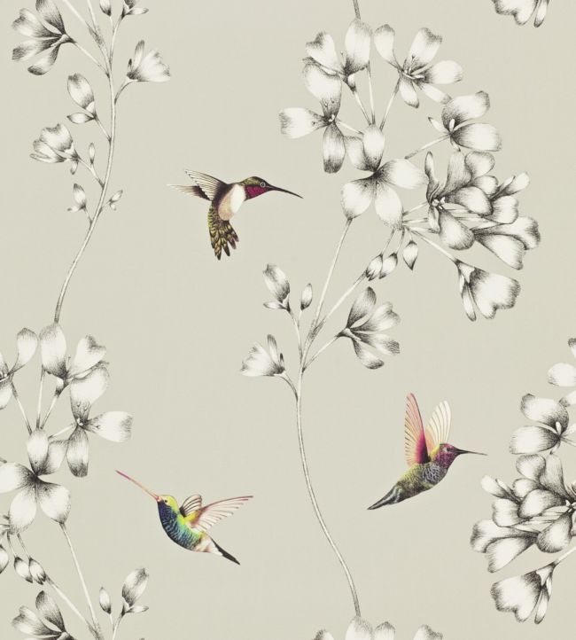 Amazilia Wallpaper - Silver - HAMA111062 - Harlequin - Premier Wallcovering