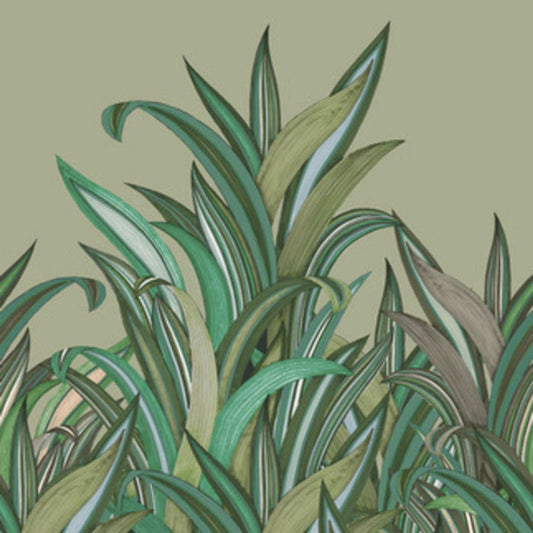 Amazing Mural Wallpaper - Green - Rasch - 542226 - Premier Wallcovering