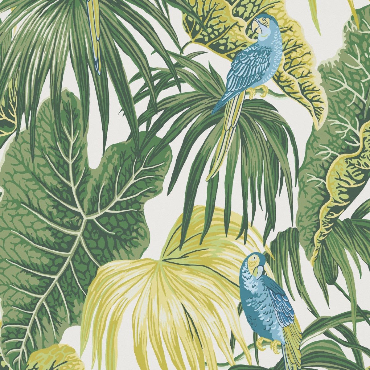 Amazon Wallpaper - Citrus - Warner House - Premier Wallcovering