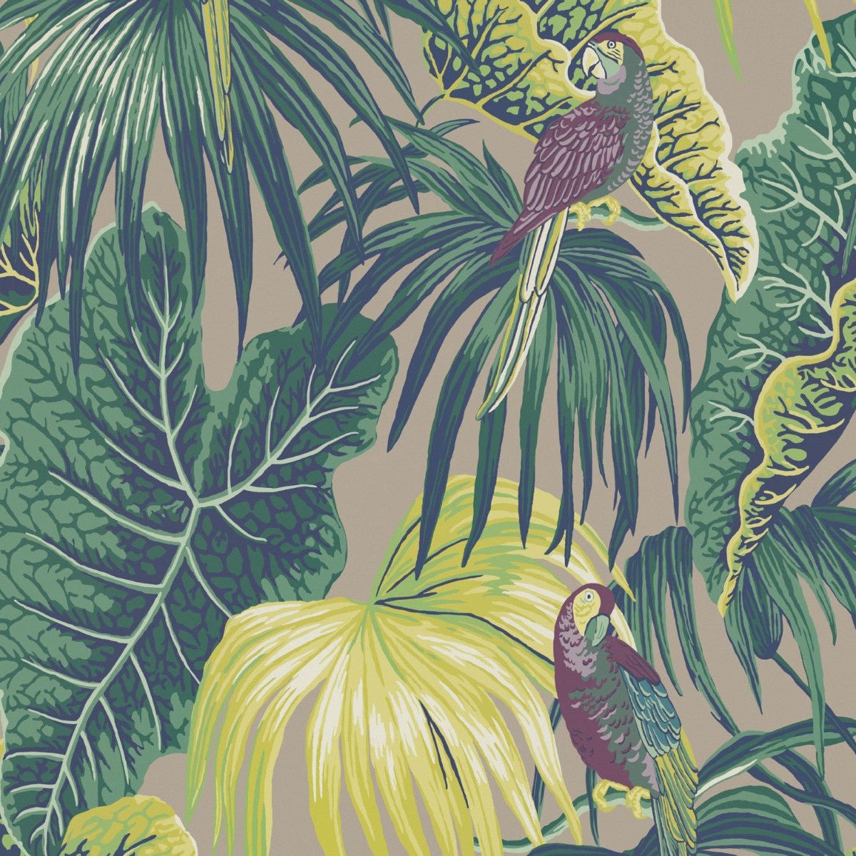 Amazon Wallpaper - Taupe - Warner House - Premier Wallcovering