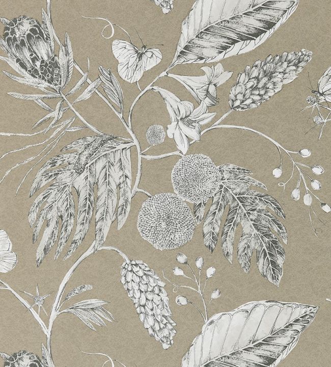 Amborella Wallpaper - Pebble - HGAT111222 - Harlequin - Premier Wallcovering