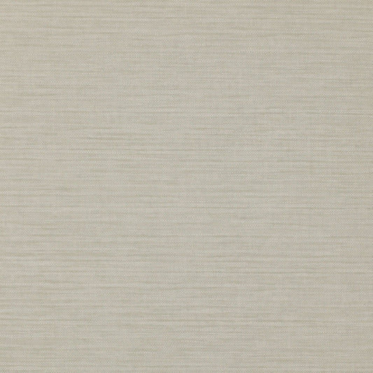 Appledore Wallpaper - Silver - Colefax & Fowler - 07167/07 - Premier Wallcovering