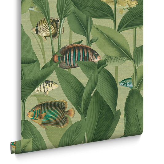 Aquarium Wallpaper - Green - Graham & Brown - 124114 - Premier Wallcovering