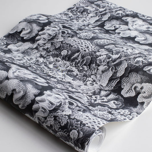 Aquila Wallpaper - Cloud - Rebel Walls - R17481 - Premier Wallcovering