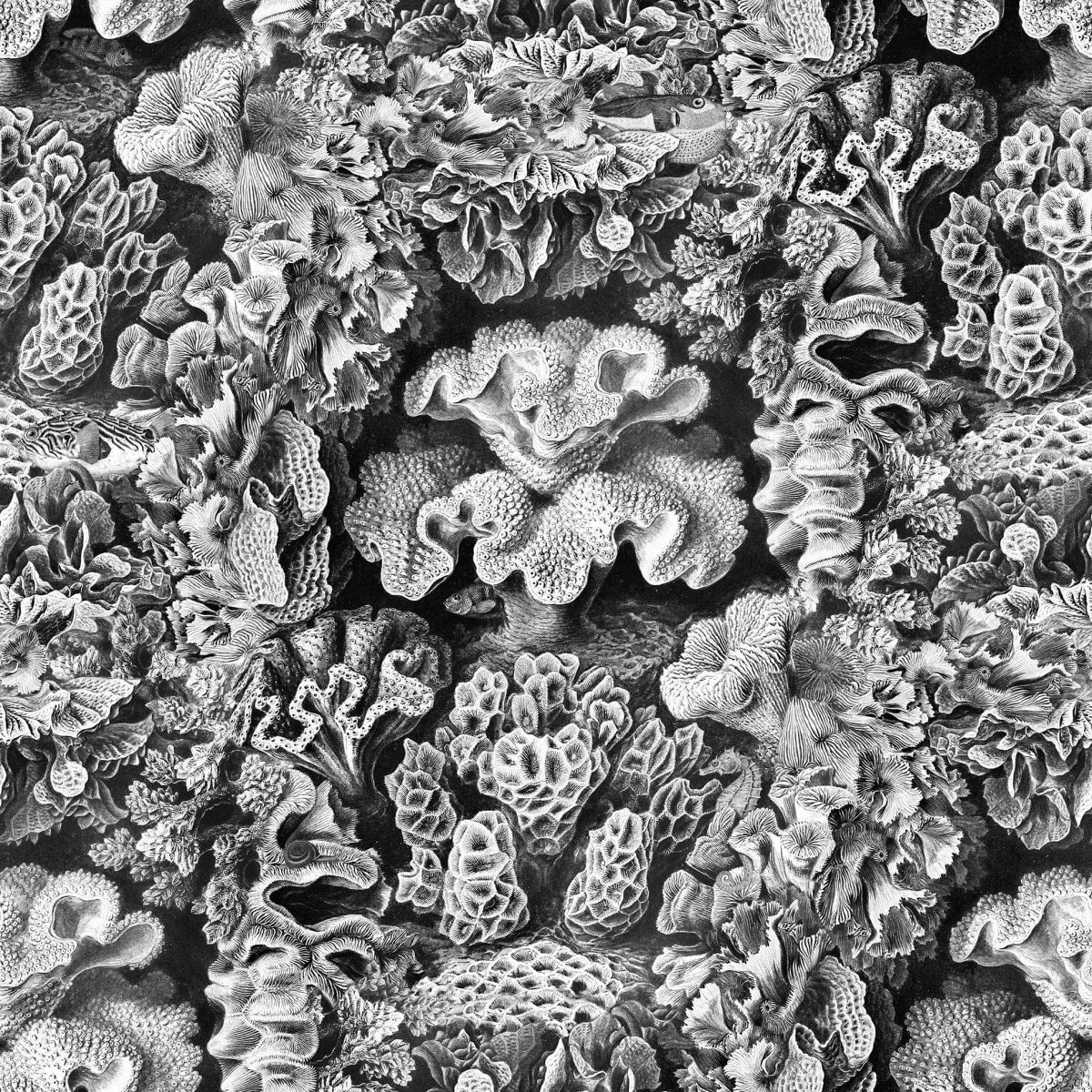 Aquila Wallpaper - Cloud - Rebel Walls - R17481 - Premier Wallcovering