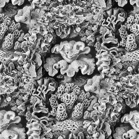 Aquila Wallpaper - Cloud - Rebel Walls - R17481 - Premier Wallcovering