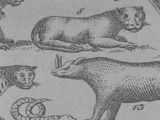 Ark Wallpaper - Cloud - Andrew Martin - MUSARCL - Premier Wallcovering