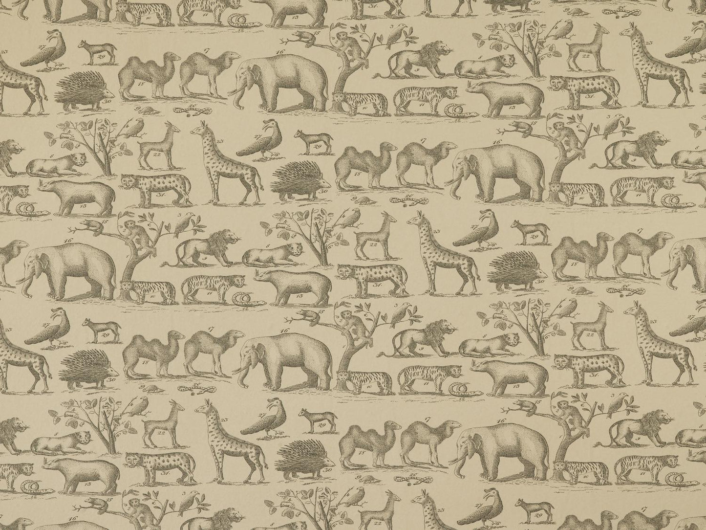 Ark Wallpaper - Cloud - Andrew Martin - MUSARCL - Premier Wallcovering