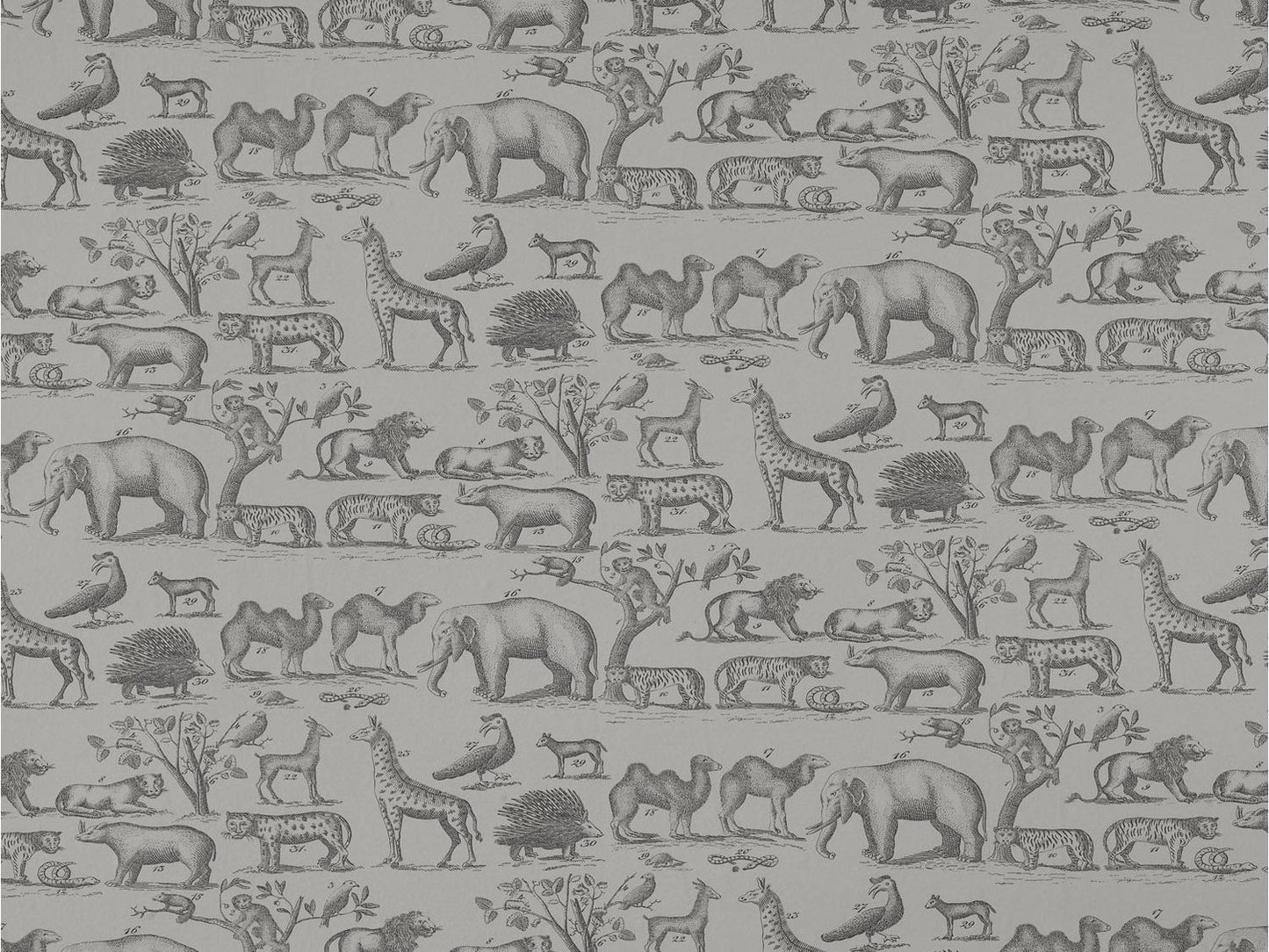 Ark Wallpaper - Cloud - Andrew Martin - MUSARCL - Premier Wallcovering