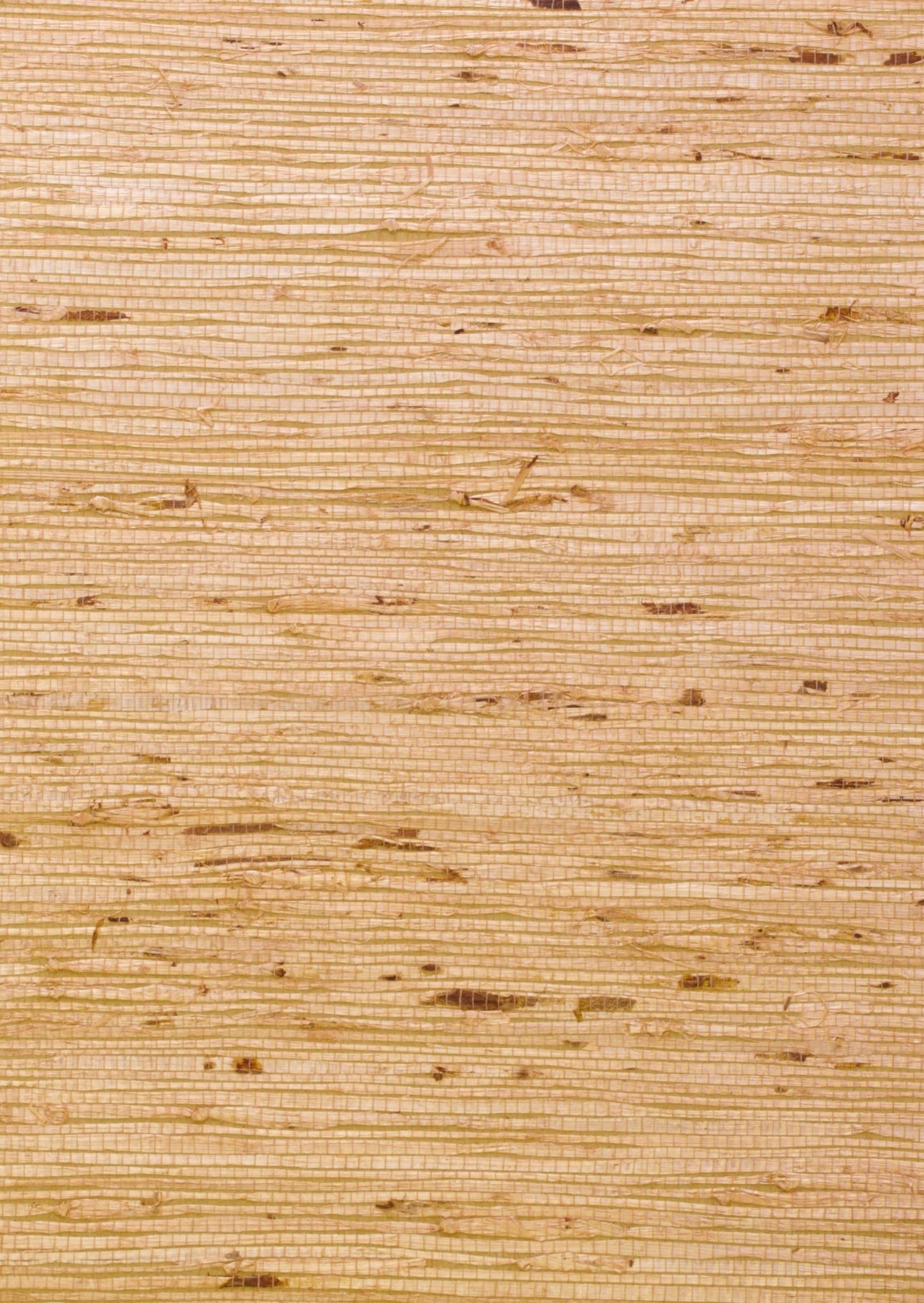Ashanti Wallpaper - Sand - Andrew Martin - ECASSA - Premier Wallcovering