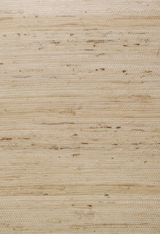 Ashanti Wallpaper - String - Andrew Martin - ECASSTR - Premier Wallcovering