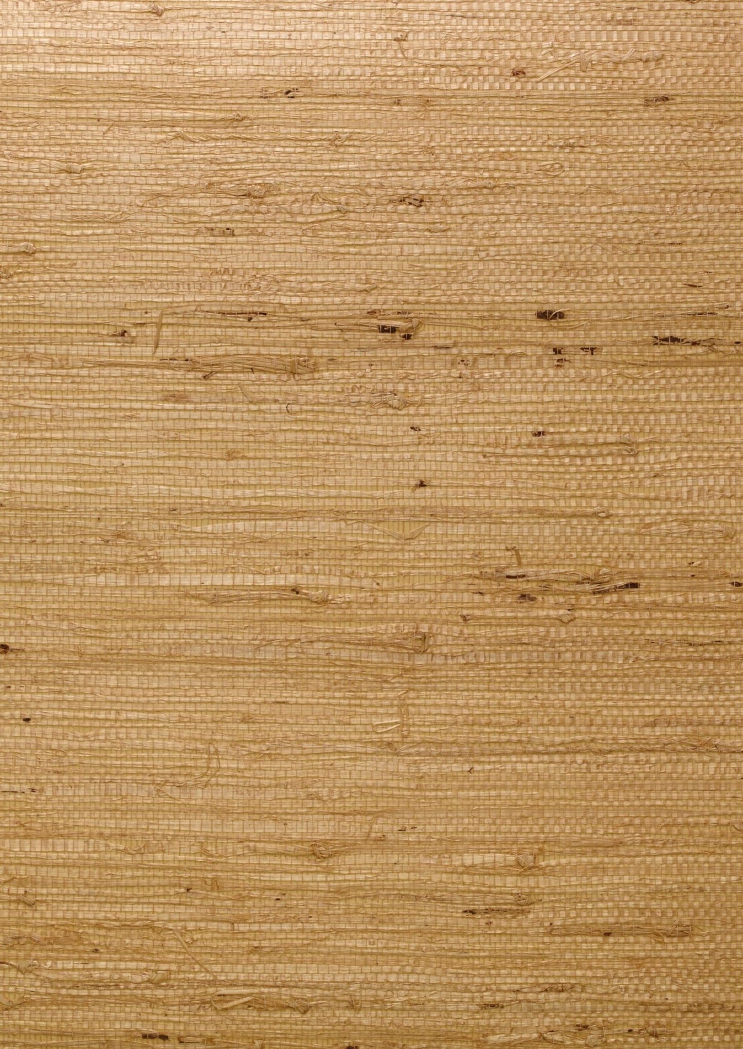 Ashanti Wallpaper - Straw - Andrew Martin - ECASST - Premier Wallcovering
