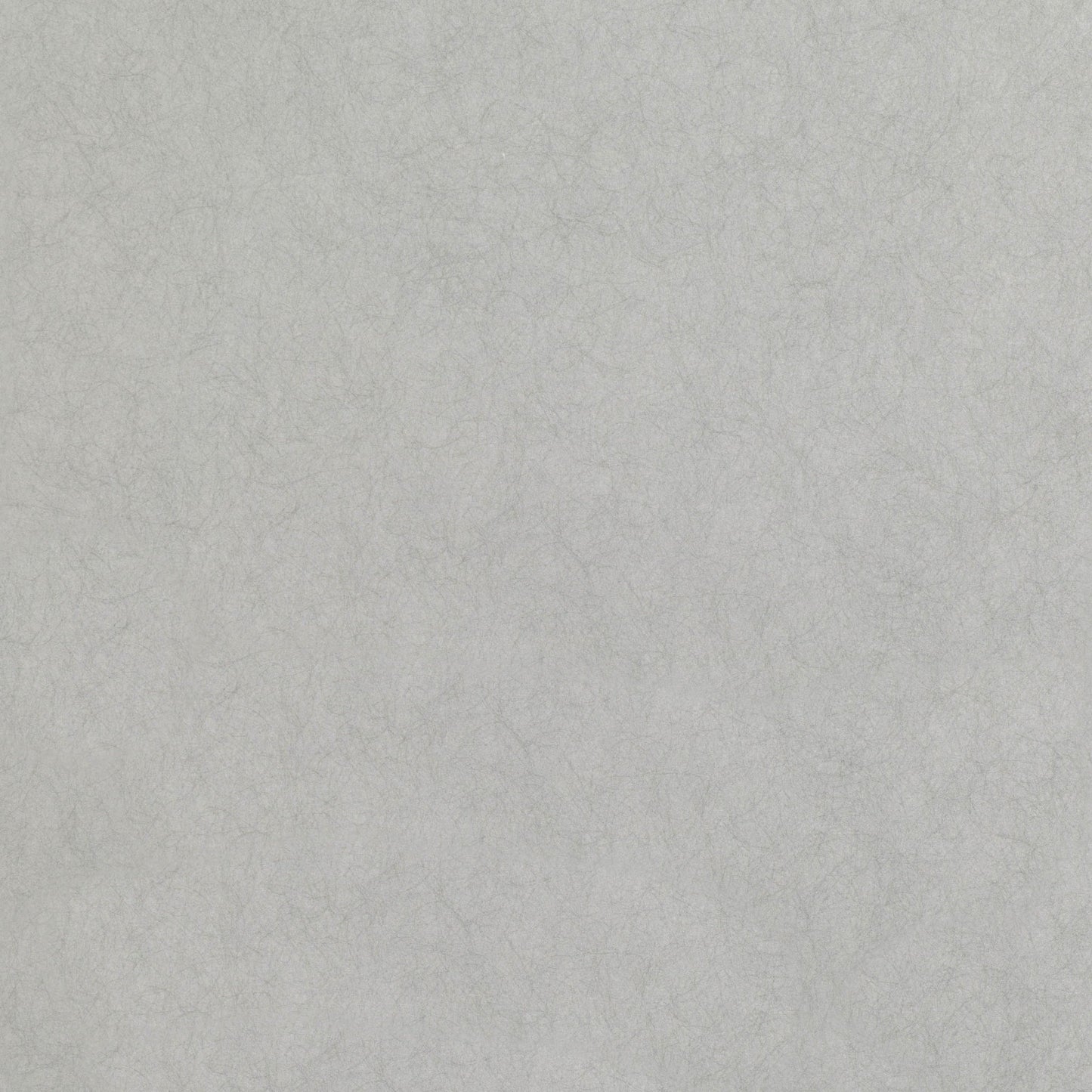 Asper Wallpaper - Silver - Romo - Lomasi - W399/06 - Premier Wallcovering