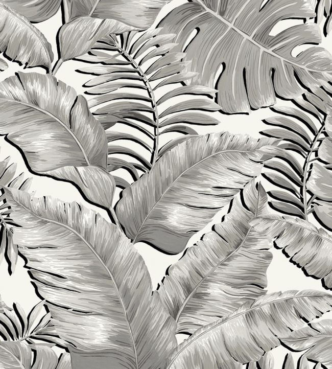 Banana Leaves Max Wallpaper - Black & White - Brand McKenzie - BMTD001/05A - Premier Wallcovering